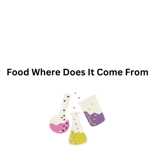 Food Where Does It Come From